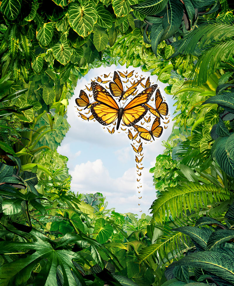 Ognuno di noi affronta situazioni più o meno favorevoli alla sua realizzazione personale, affettiva e professionale. Un percorso di psicoterapia individuale può essere un valido supporto in molti casi: raggiungere i propri obiettivi e le proprie aspirazioni, superare eventi dolorosi come una separazione o un lutto, vincere una dipendenza, affrontare relazioni problematiche, raggiungere uno stile di vita armonioso ed equilibrato.