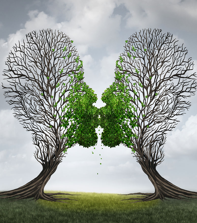 La Terapia Focalizzata sulle Emozioni EFT è una terapia di coppia efficace e innovativa e sta riscuotendo grandi consensi tra gli psicoterapeuti grazie a risultati positivi nel 75% dei casi, anche quando le coppie si presentano con un elevato livello di conflittualità.